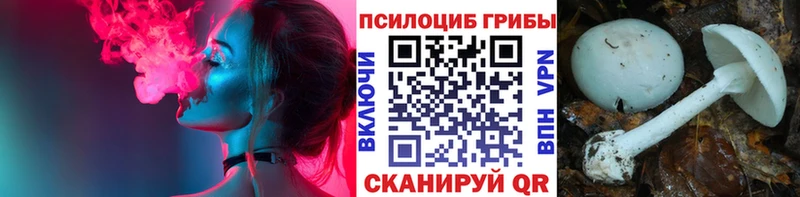 наркотики  гидра ссылки  Псилоцибиновые грибы ЛСД  Карасук 