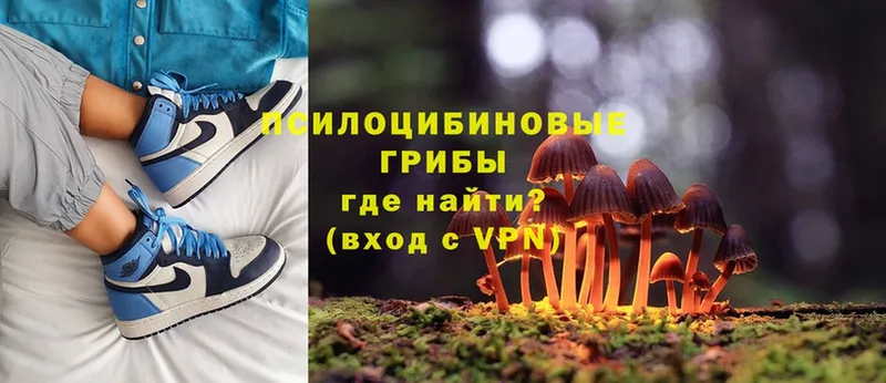 хочу   Карасук  Псилоцибиновые грибы MAGIC MUSHROOMS 