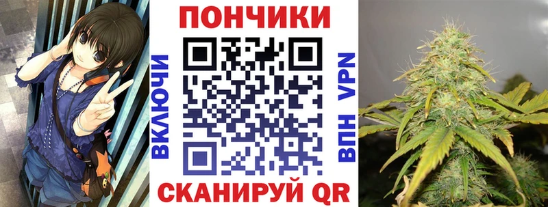 Шишки марихуана семена Карасук